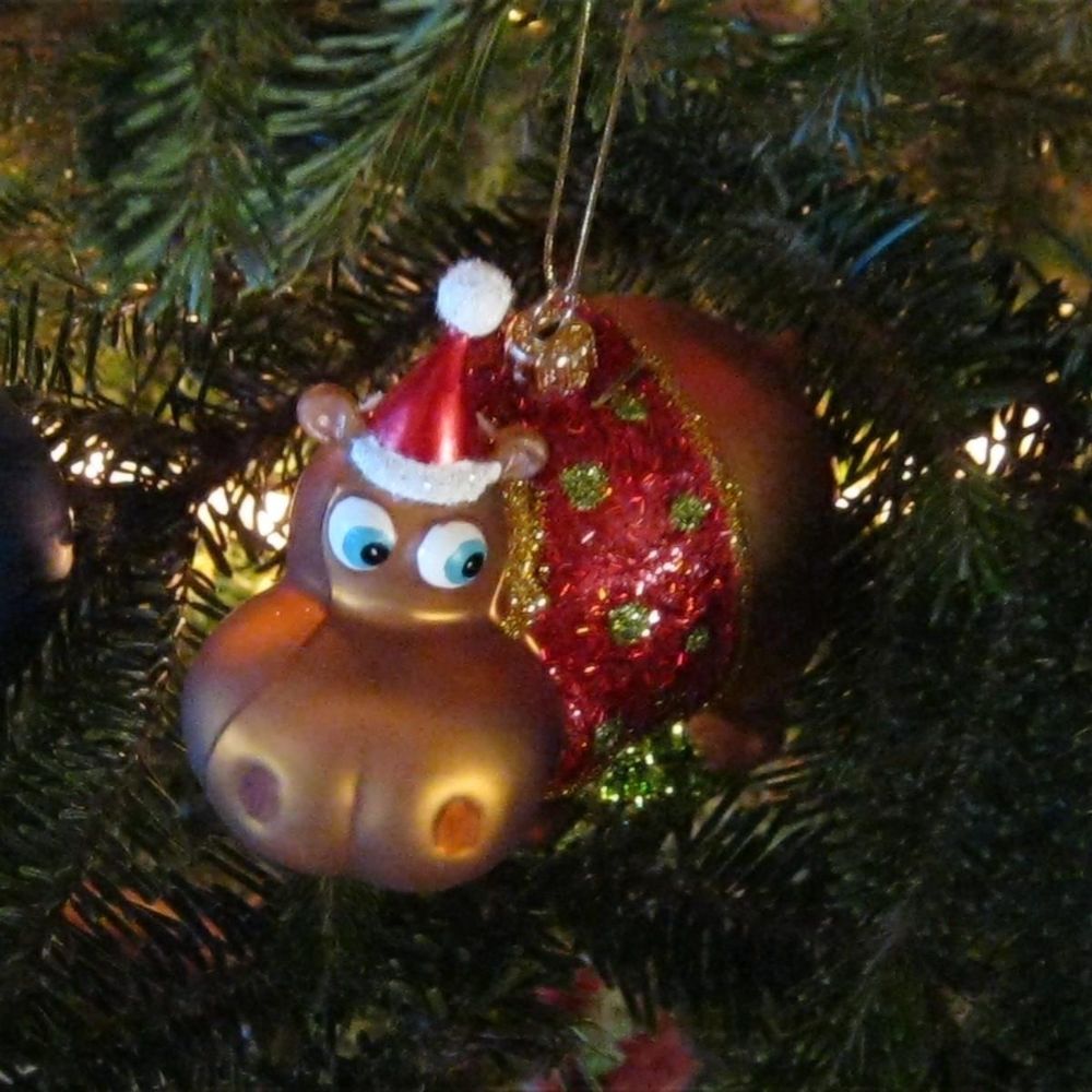 Meet your Posher, Angela